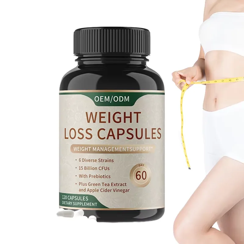 Bulk OEM Weight Management Probiotic Capsules 15B CFU With Prebiotics Green Tea & Apple Cider Slimming Supplement