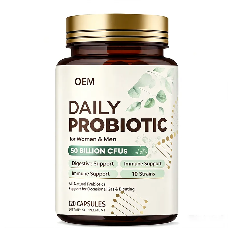Daily Probiotic Capsules 50 Billion CFU 10 Strains with Prebiotics 120 Count OEM Supplement for Digestive and Immune Support